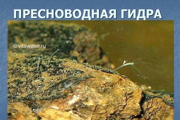 Kraken официальный сайт ссылка через tor