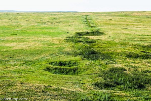 Даркнет сайт скачать