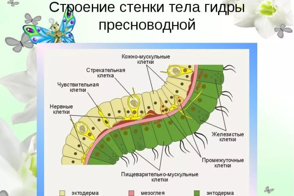 Кракен 12at сайт