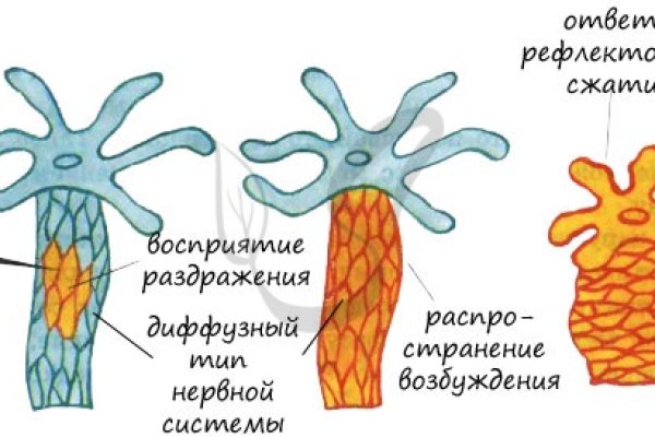 Оригинальная ссылка на кракен