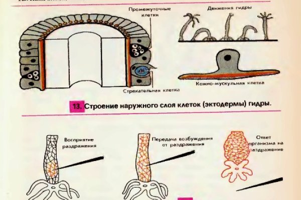 Рабочий сайт kraken